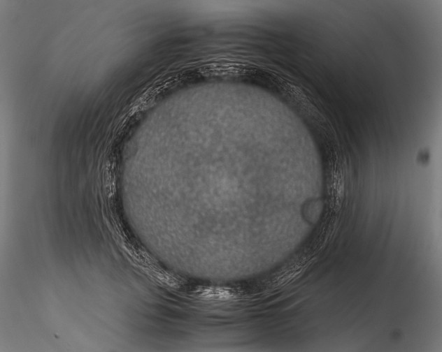 X0000116000751200912101317