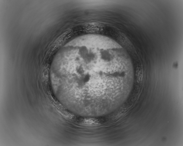 X0000116000753200912101317