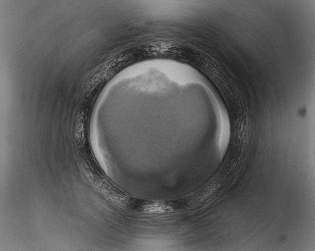 X0000116000754200912101317