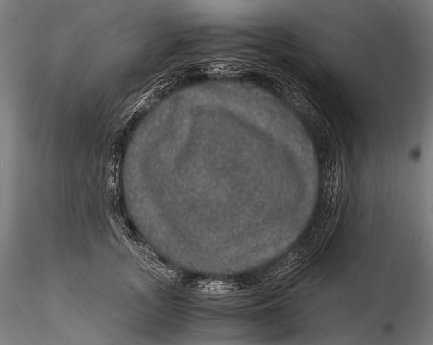 X0000116000755200912101317