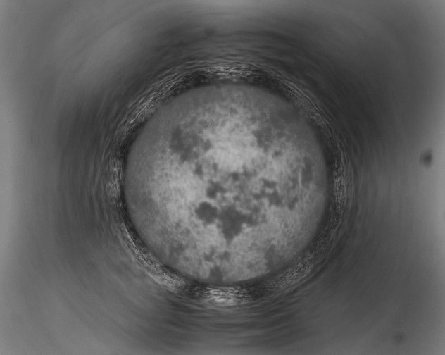 X0000116000757200912101317