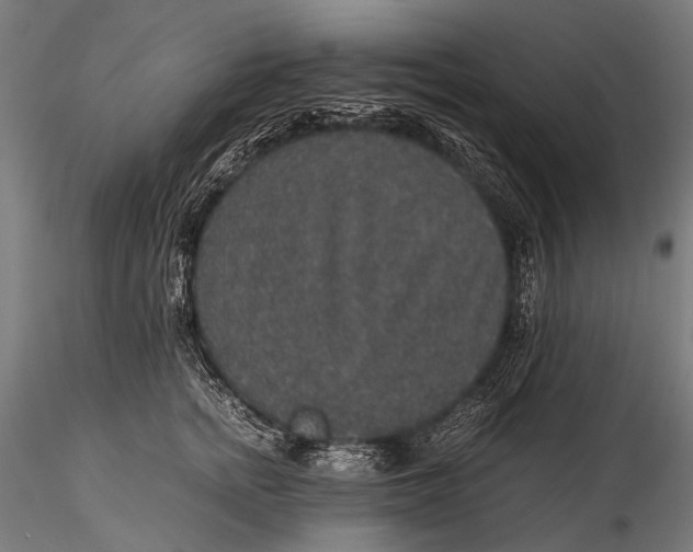 X0000116000758200912101317