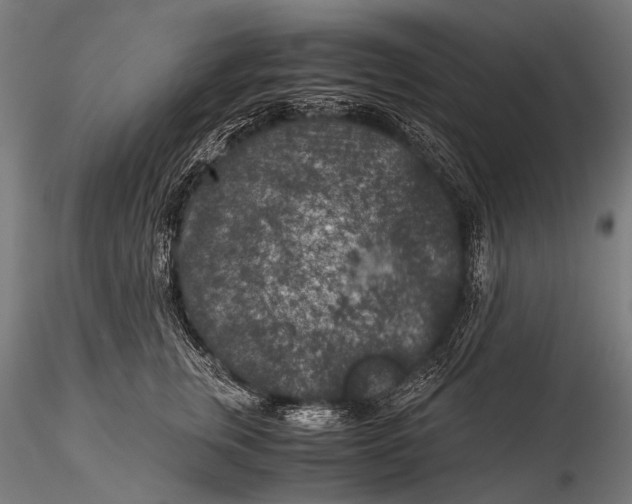 X0000116000759200912101317