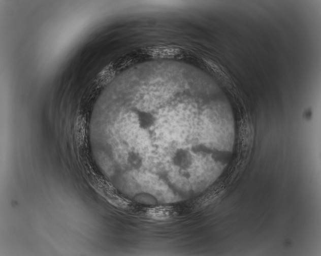 X0000116000761200912101317