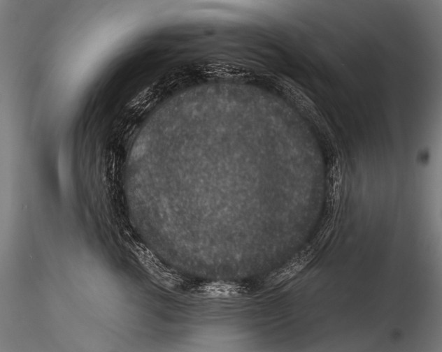 X0000116000762200912101317