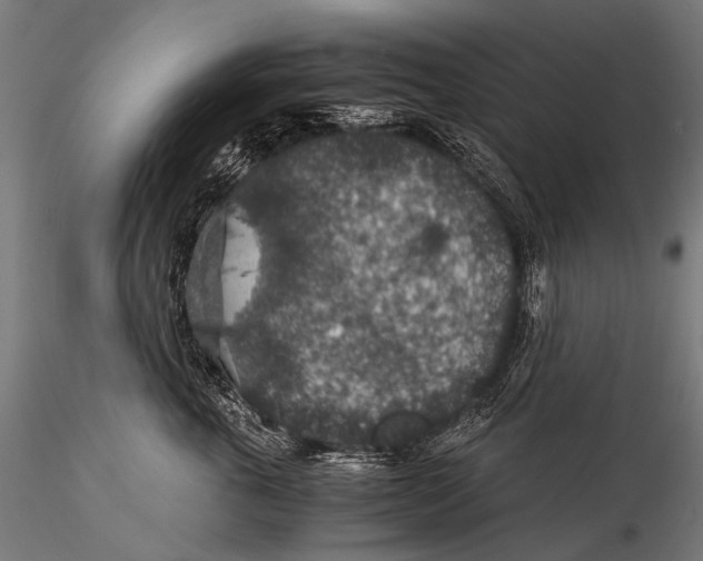 X0000116000763200912101317