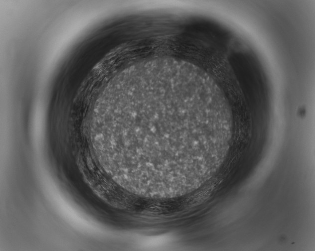 X0000116000765200912101317