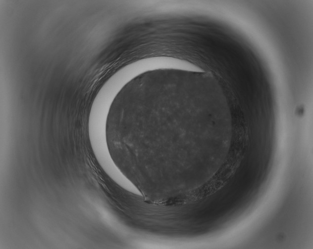 X0000116000766200912101317