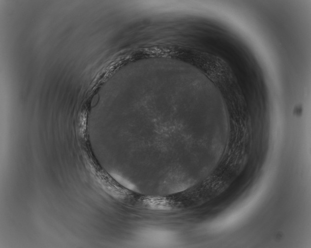 X0000116000767200912101317