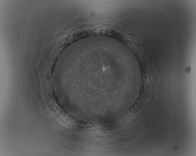 X0000116000769200912101316