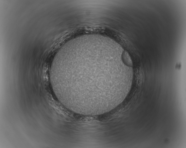 X0000116000770200912101316