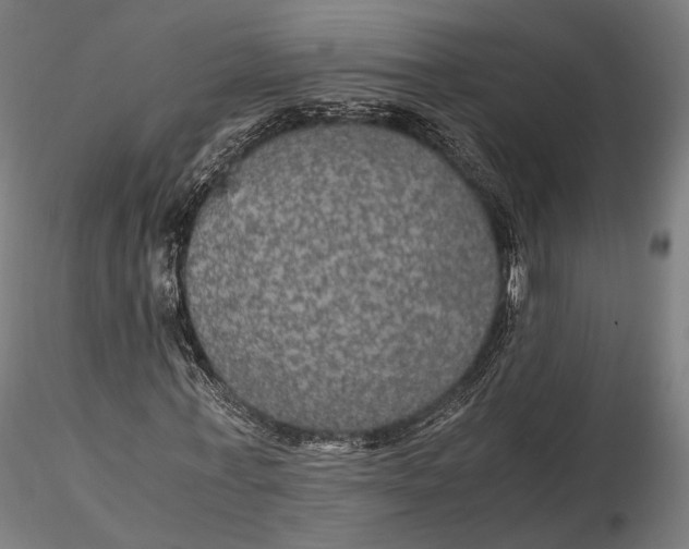 X0000116000771200912101316