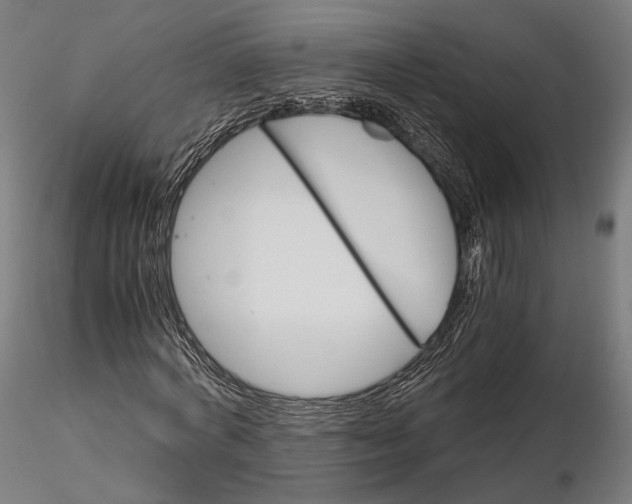 X0000116000772200912101316