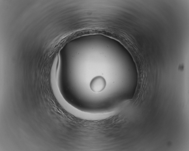 X0000116000773200912101316