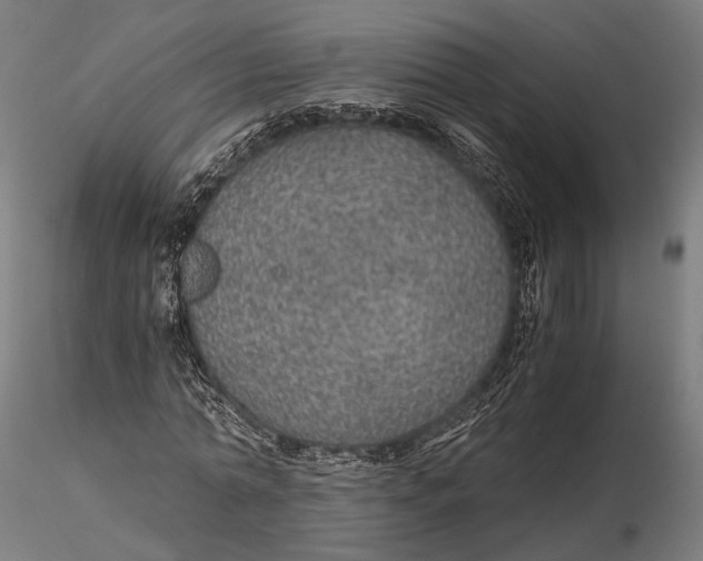 X0000116000774200912101316