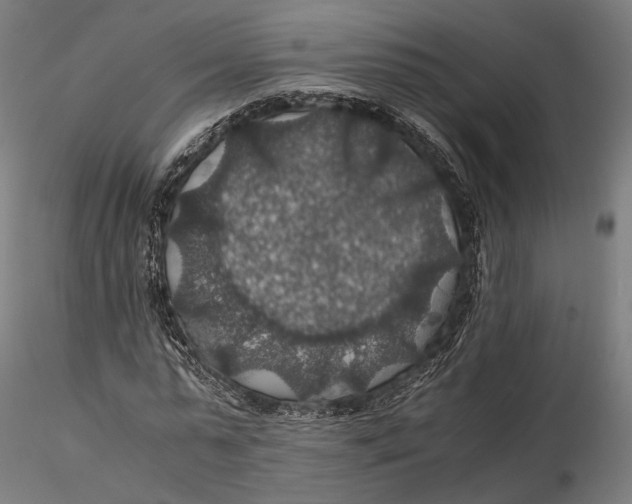 X0000116000775200912101316