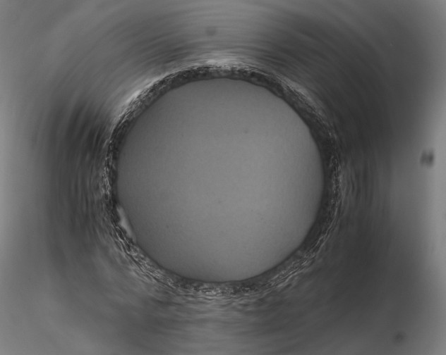 X0000116000776200912101316