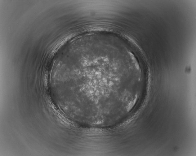 X0000116000777200912101316