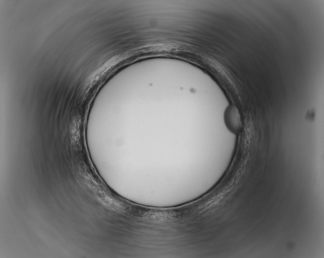 X0000116000778200912101316