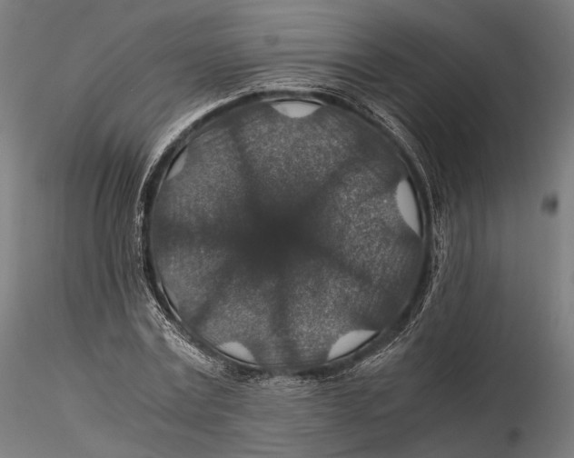 X0000116000779200912101316