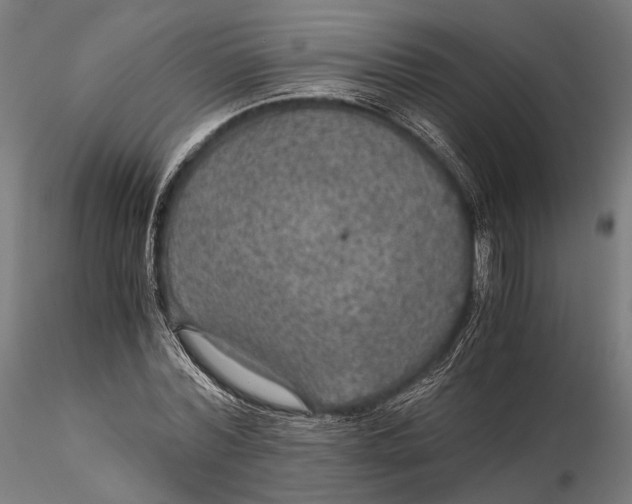 X0000116000780200912101316