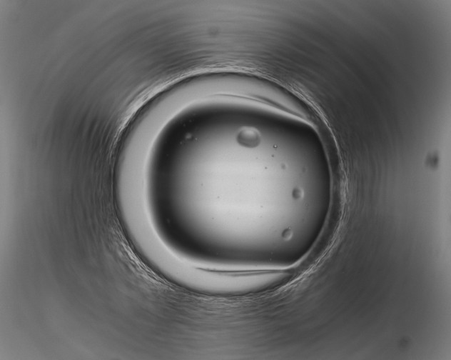 X0000116000781200912101316