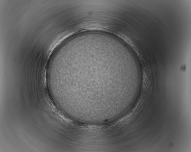 X0000116000782200912101316