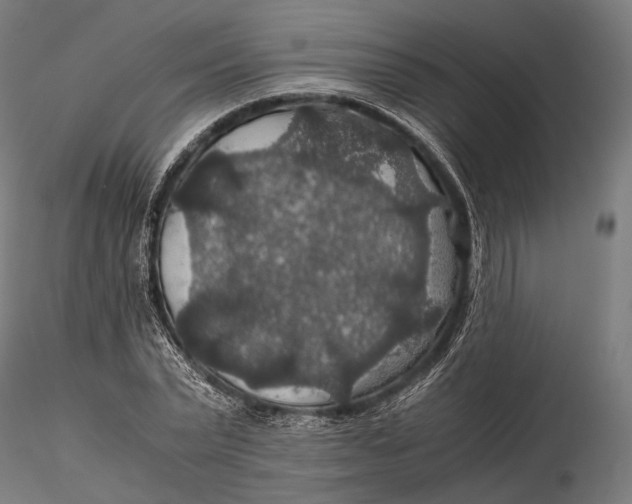 X0000116000783200912101316