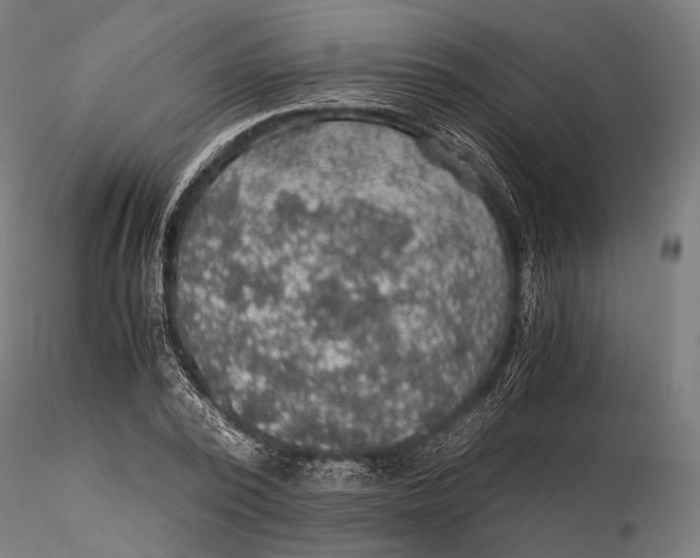 X0000116000784200912101316