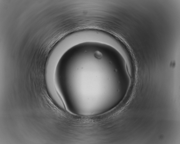 X0000116000785200912101316