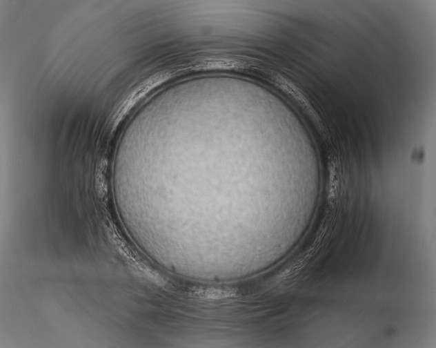 X0000116000786200912101316