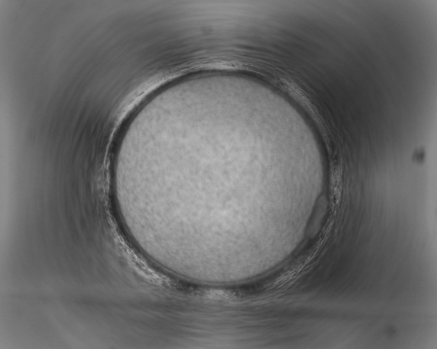 X0000116000787200912101316