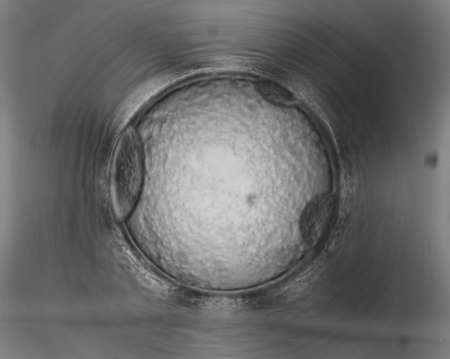 X0000116000789200912101316