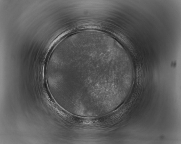 X0000116000790200912101316