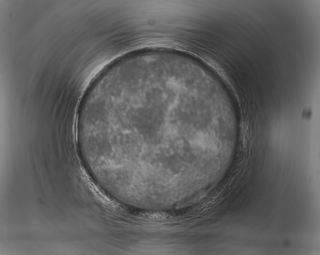 X0000116000791200912101316