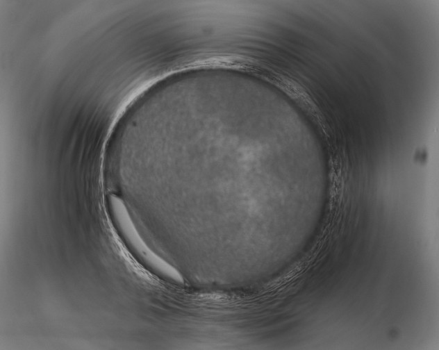 X0000116000792200912101316