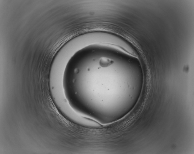 X0000116000793200912101315