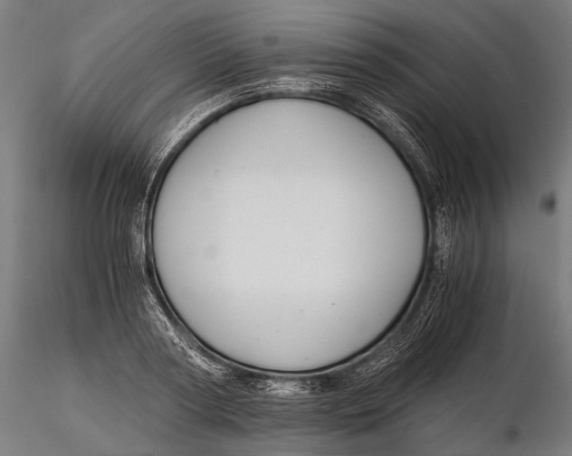 X0000116000794200912101315