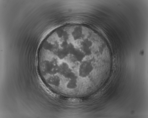 X0000116000795200912101315