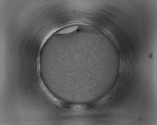 X0000116000796200912101315