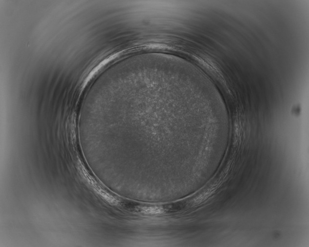 X0000116000798200912101315