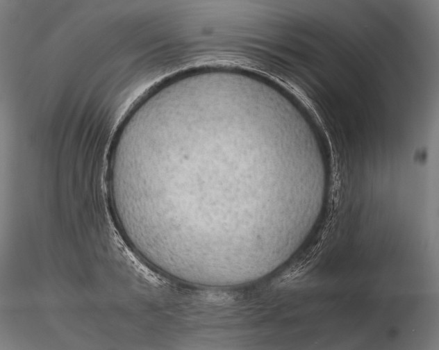 X0000116000799200912101315