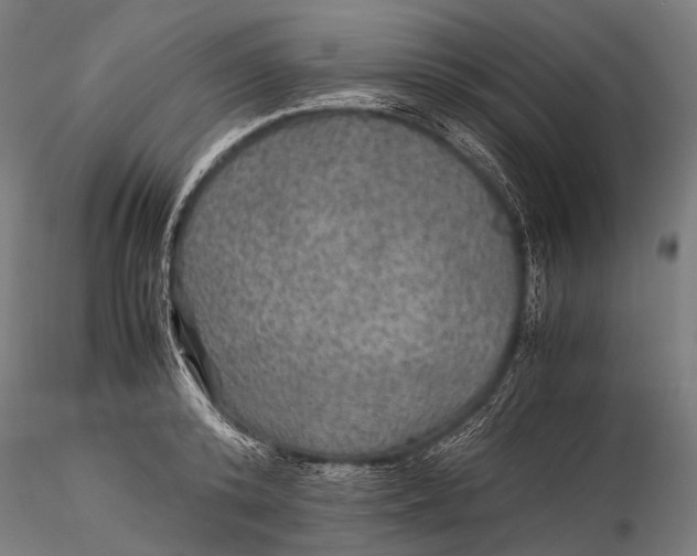 X0000116000800200912101315