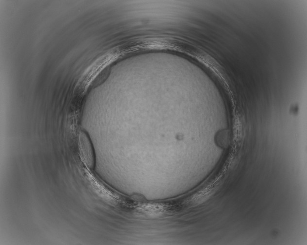 X0000116000801200912101315