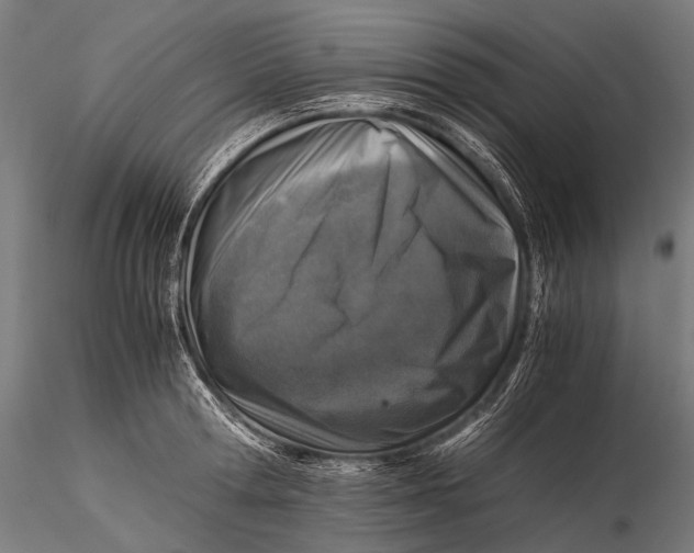 X0000116000802200912101315