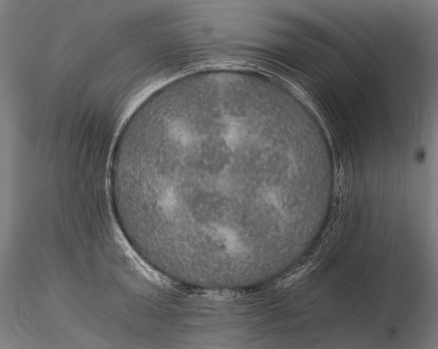 X0000116000803200912101315