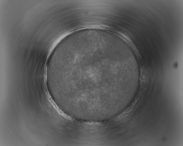 X0000116000804200912101315