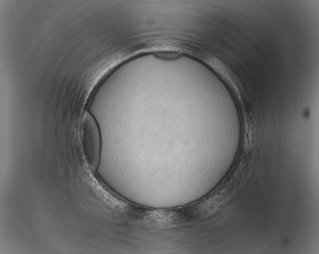 X0000116000805200912101315