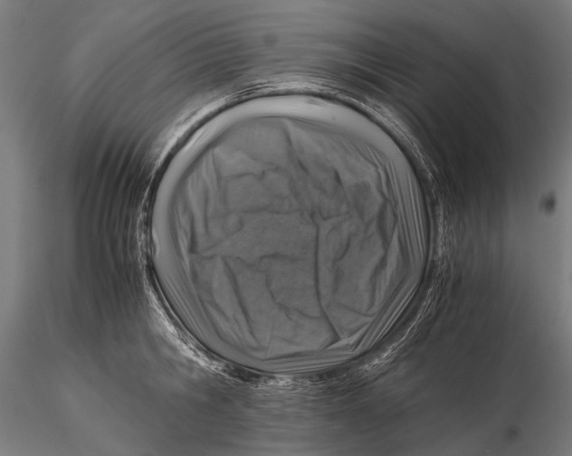 X0000116000806200912101315