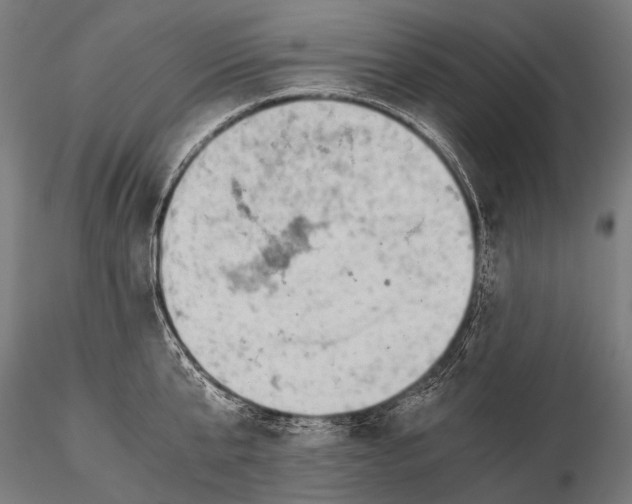 X0000116000807200912101315